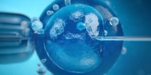 Fecondazione assistita: più chance con trasferimento embrioni più maturi