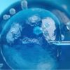 Stimolazione ormonale e prelievo di ovociti: come funziona e cosa sapere